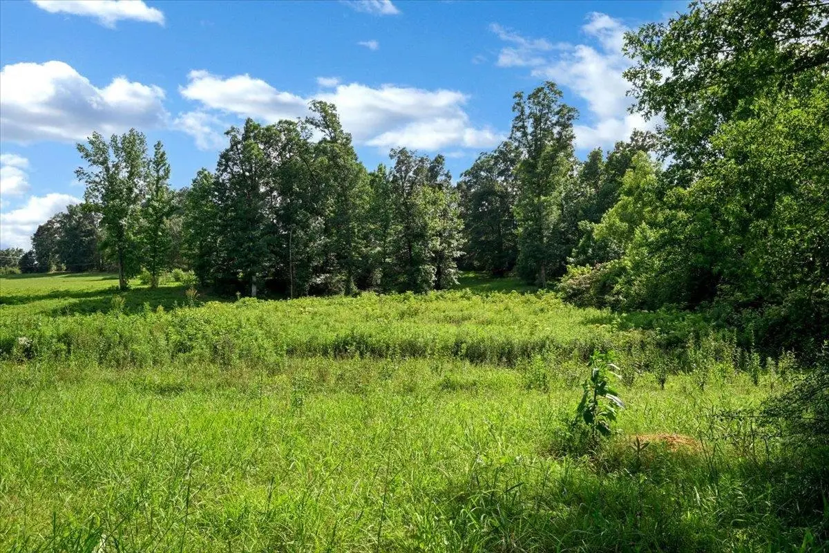0 Co Rd 783, Cullman, AL 35055 - #1