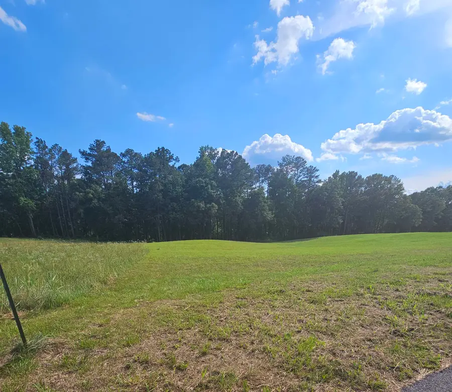 0 Bluegrass Ln #41, Jasper, AL 35503 - #2
