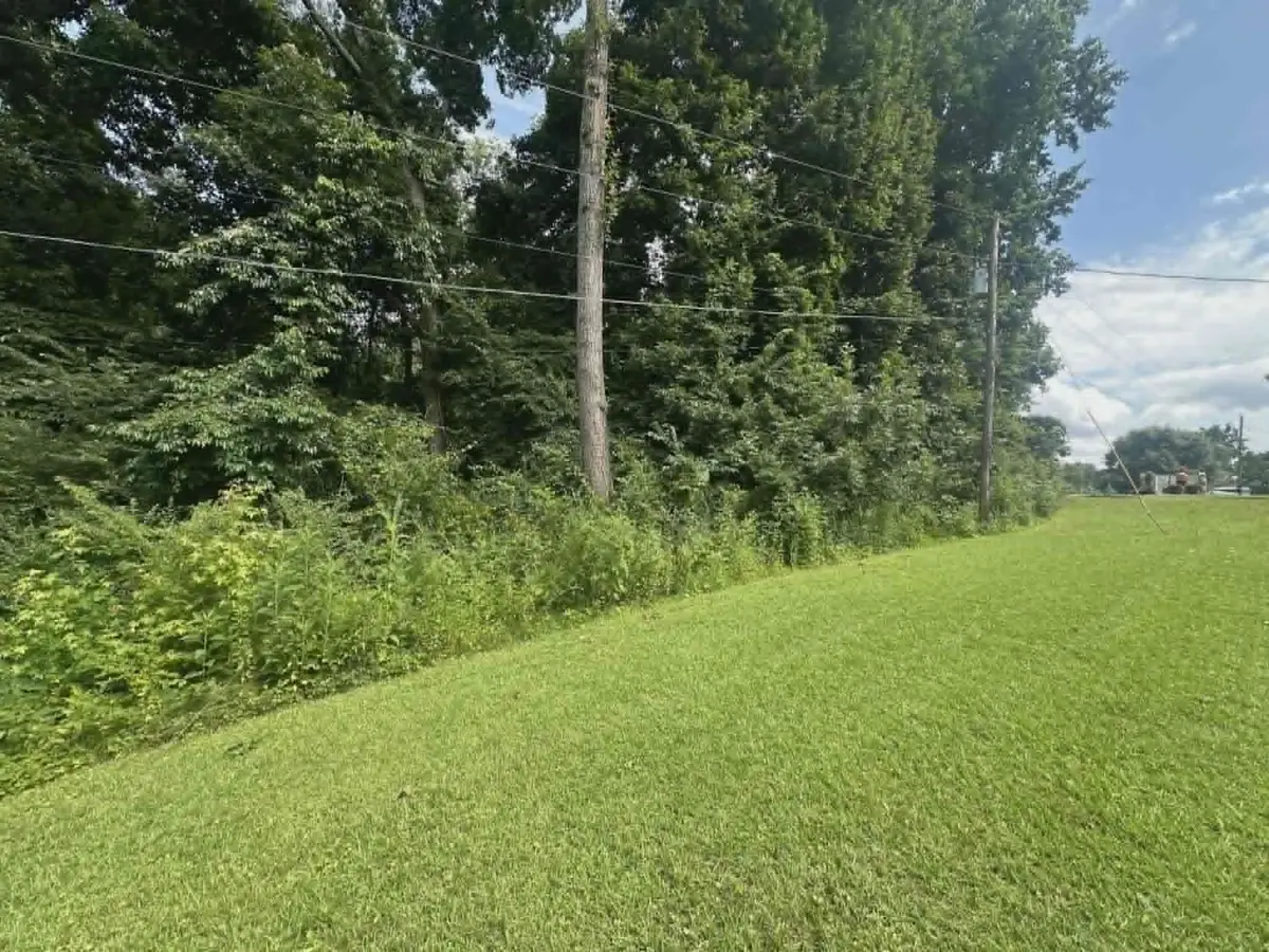 0 N Dabney Ln, Rogersville, AL 35652 - #1