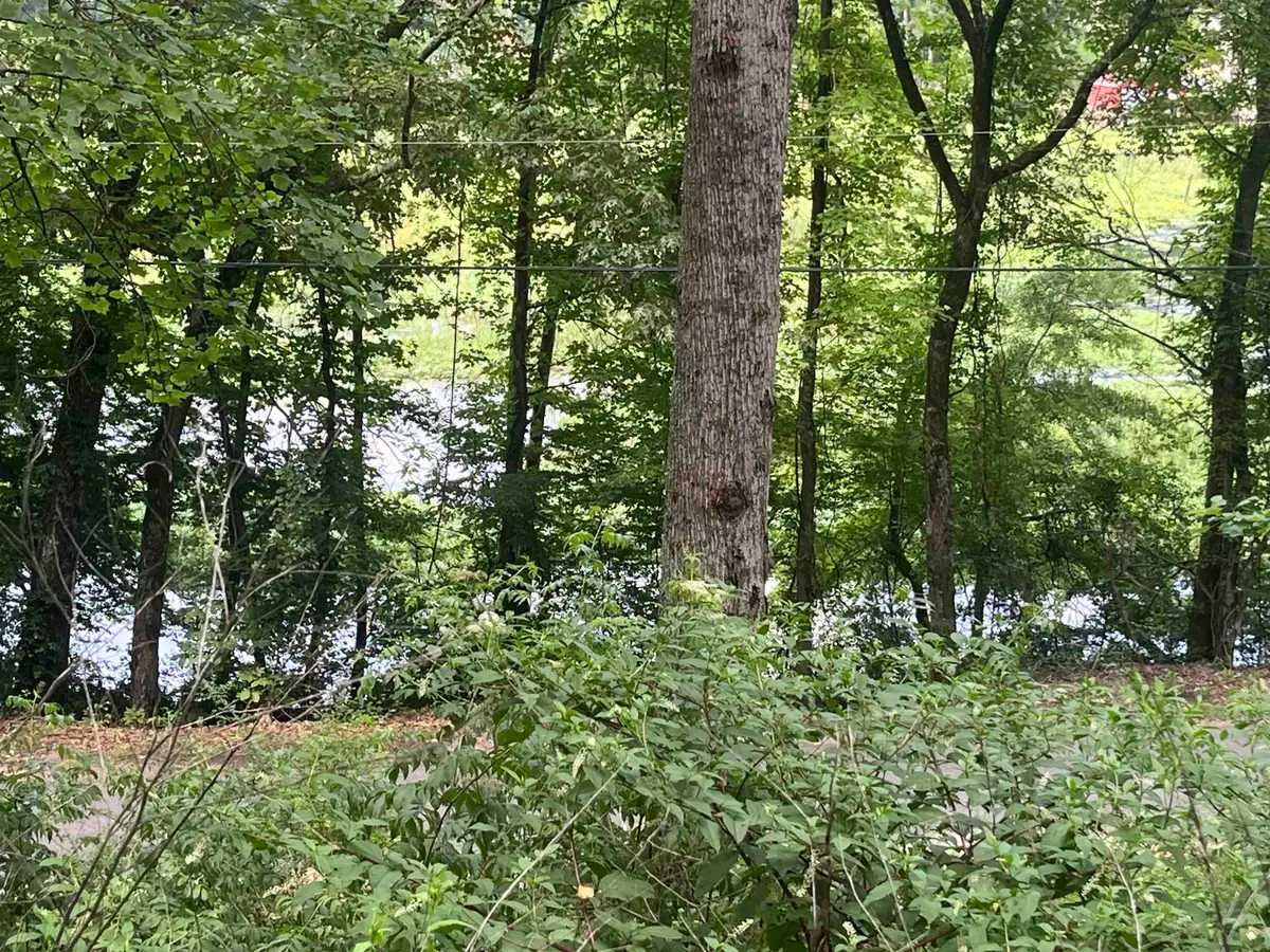 2690 Aldridge Gap Rd #LOT 12 & 13, Guntersville, AL 35976 - #1