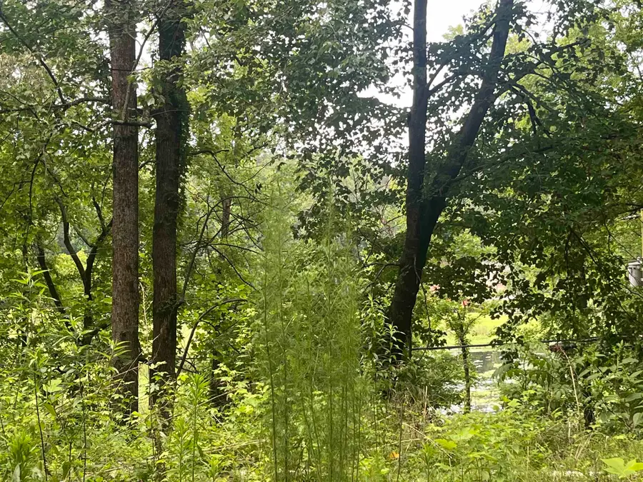 2690 Aldridge Gap Rd #LOT 12 & 13, Guntersville, AL 35976 - #2