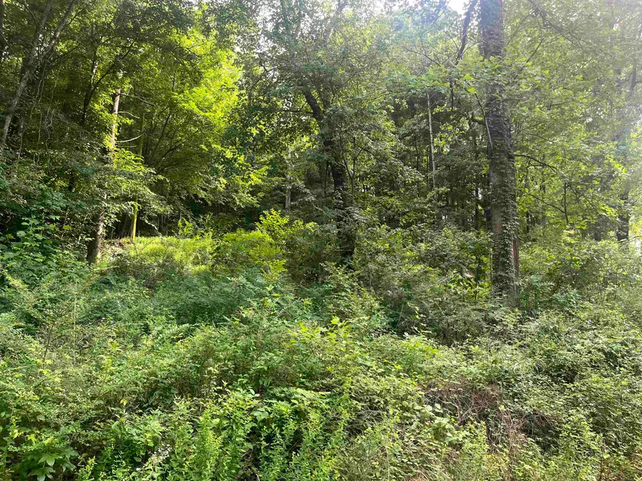 2690 Aldridge Gap Rd #LOT 12 & 13, Guntersville, AL 35976 - #3