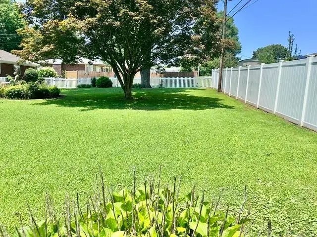 1810 Crestline Ave, Sheffield, AL 35660 - #3