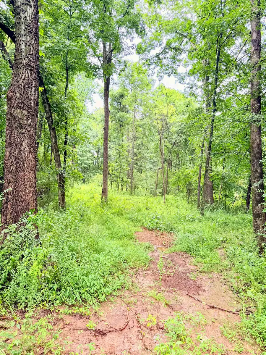 1022 Co Rd 545, Rogersville, AL 35652 - #2