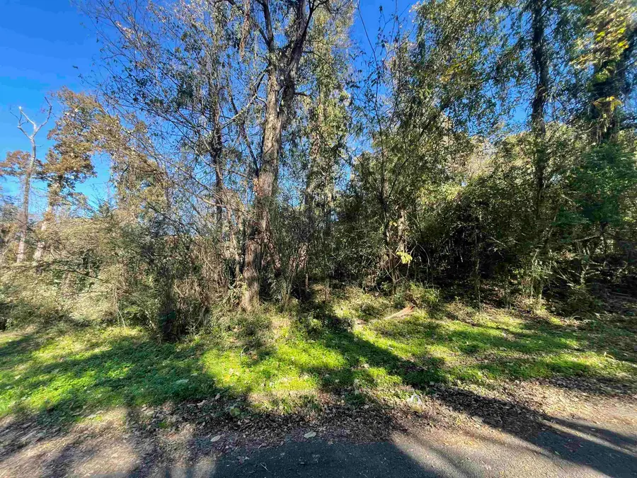 0 Wood Ave, Sheffield, AL 35660 - #2