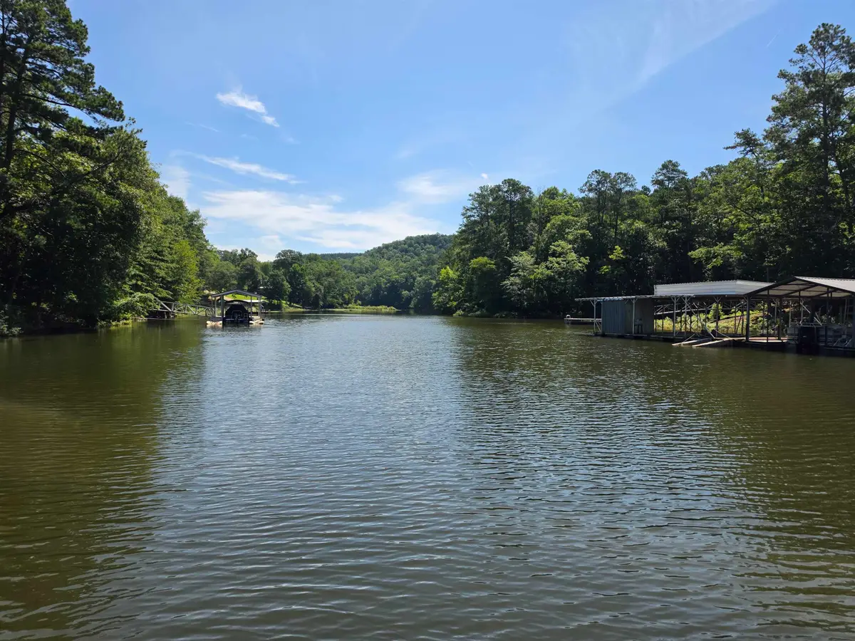 340 Co Rd 953, Crane Hill, AL 35053 - #1
