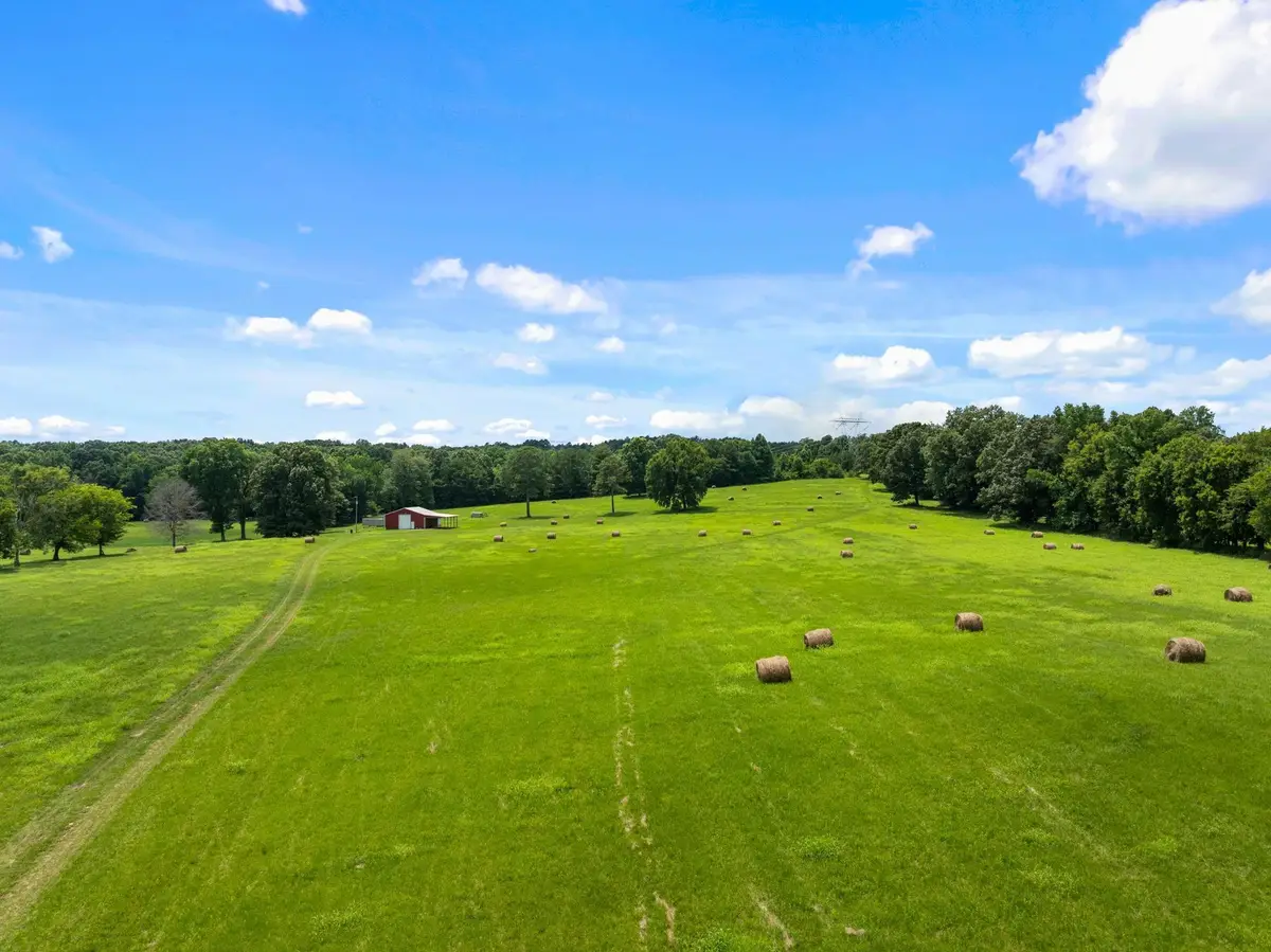 1021 Wallace Looney Rd, Leighton, AL 35646 - #1