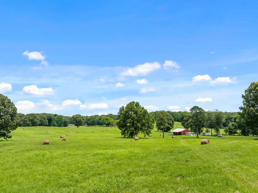 1021 Wallace Looney Rd, Leighton, AL 35646 - #2