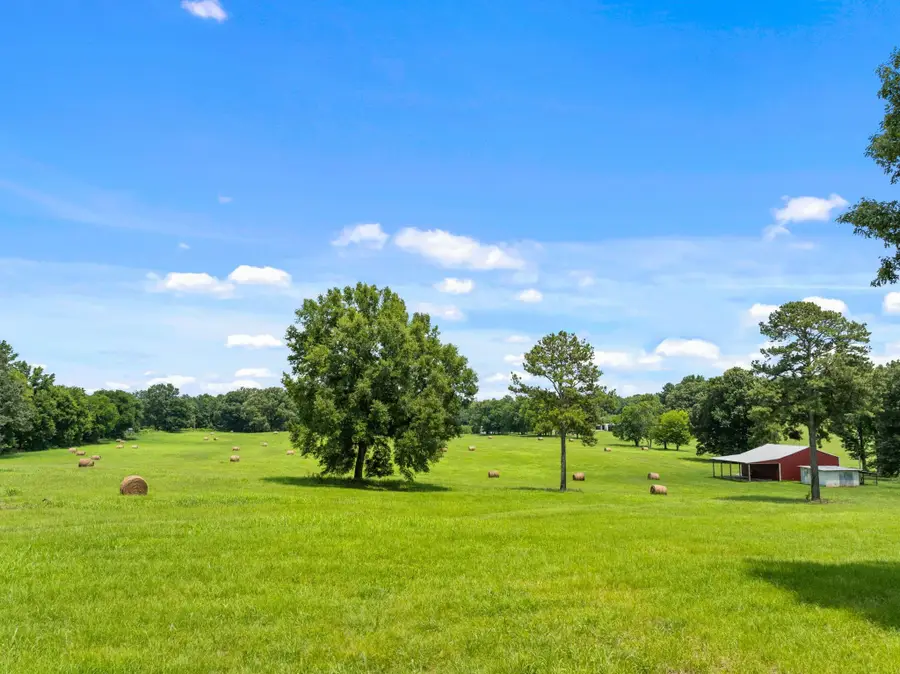 1021 Wallace Looney Rd, Leighton, AL 35646 - #3