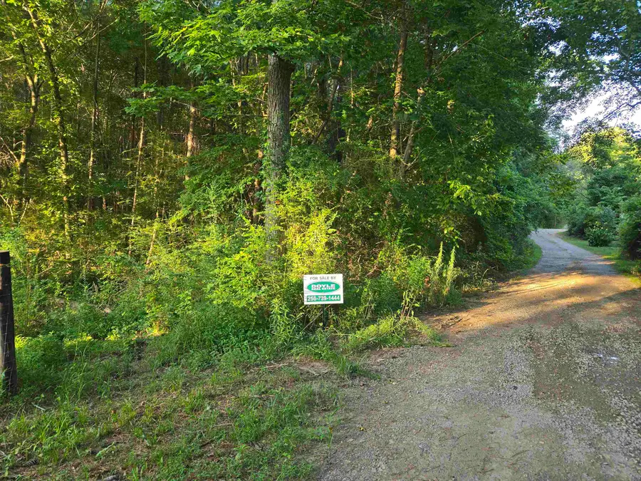 0 Co Rd 532, Hanceville, AL 35077 - #2