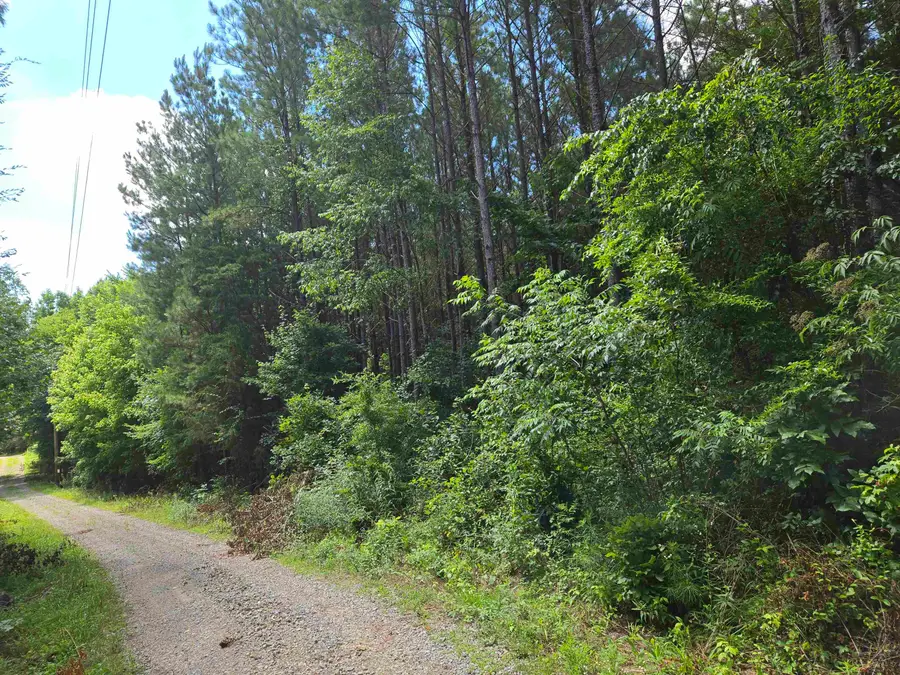0 Co Rd 532, Hanceville, AL 35077 - #3