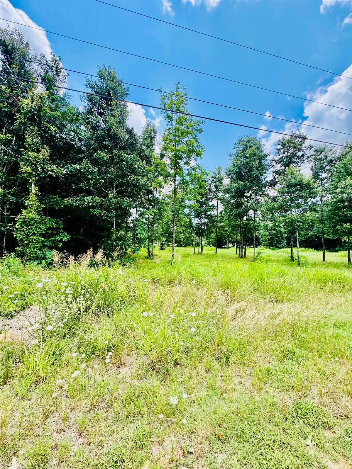0 Pride Estates Rd, Tuscumbia, AL 35674 - #1