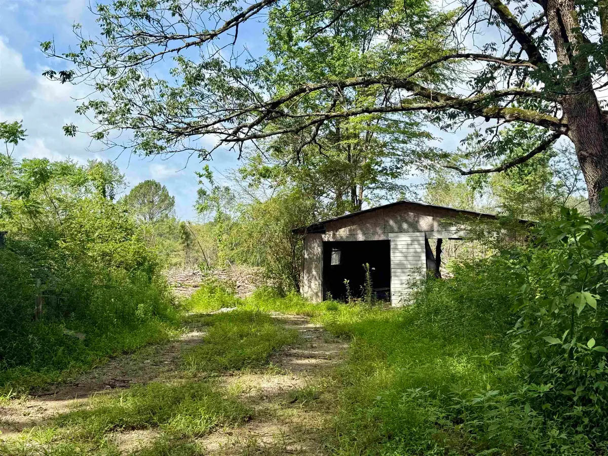 10881 Hwy 17, Florence, AL 35634 - #1