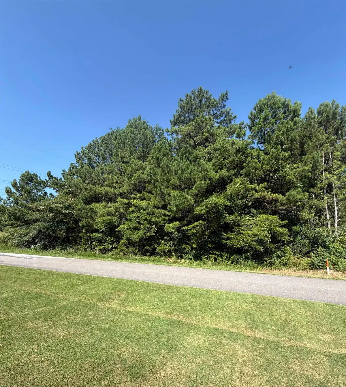 Renee Dr, Tuscumbia, AL 35674 - #1