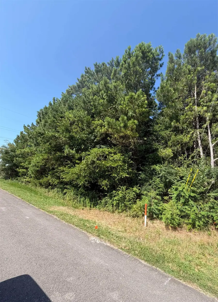 Renee Dr, Tuscumbia, AL 35674 - #2