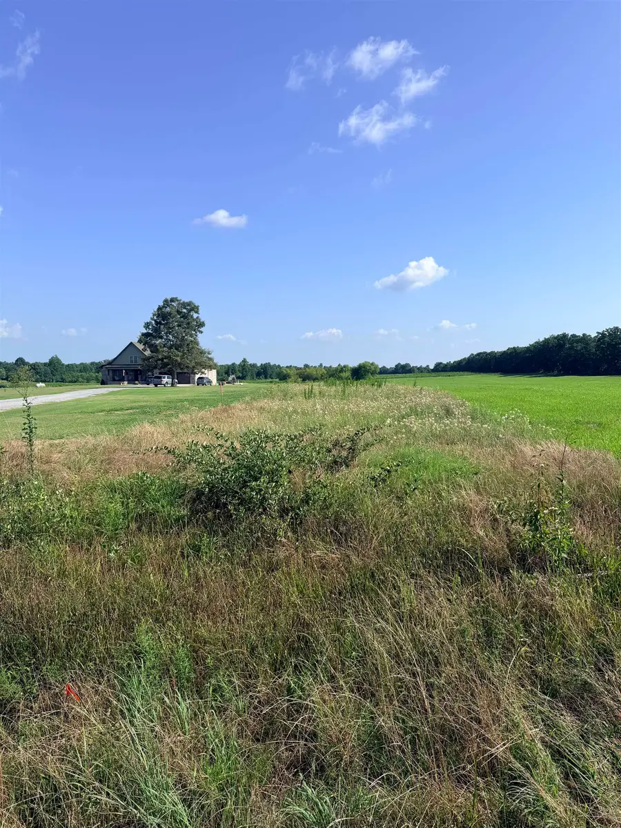 Tract C Quinn Rd, Athens, AL 35611 - #2