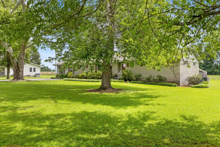 260 Co Rd 231, Florence, AL 35633 - #2