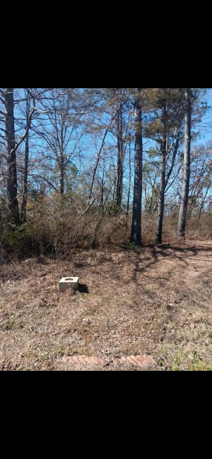 307 Roberts St, Hamilton, AL 35570 - #1