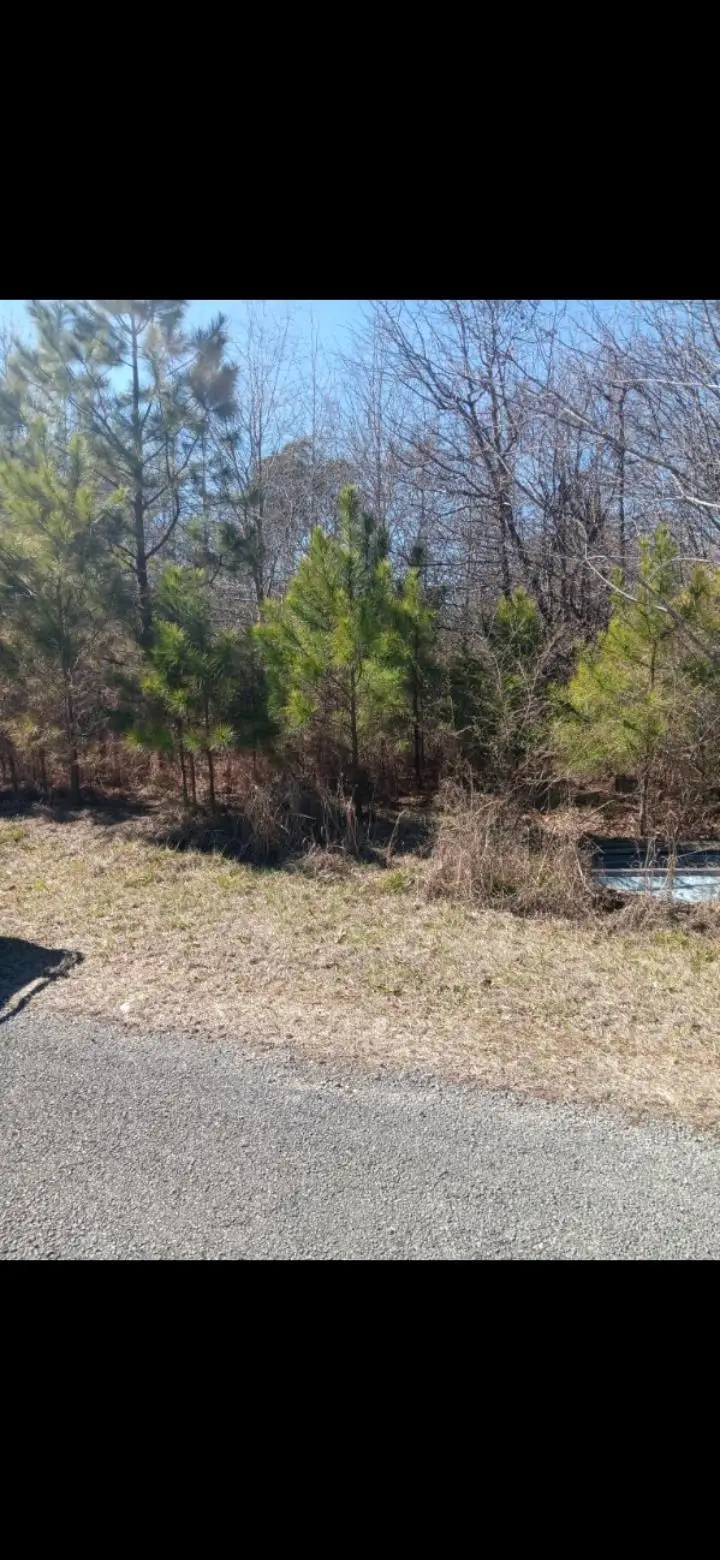 307 Roberts St, Hamilton, AL 35570 - #3