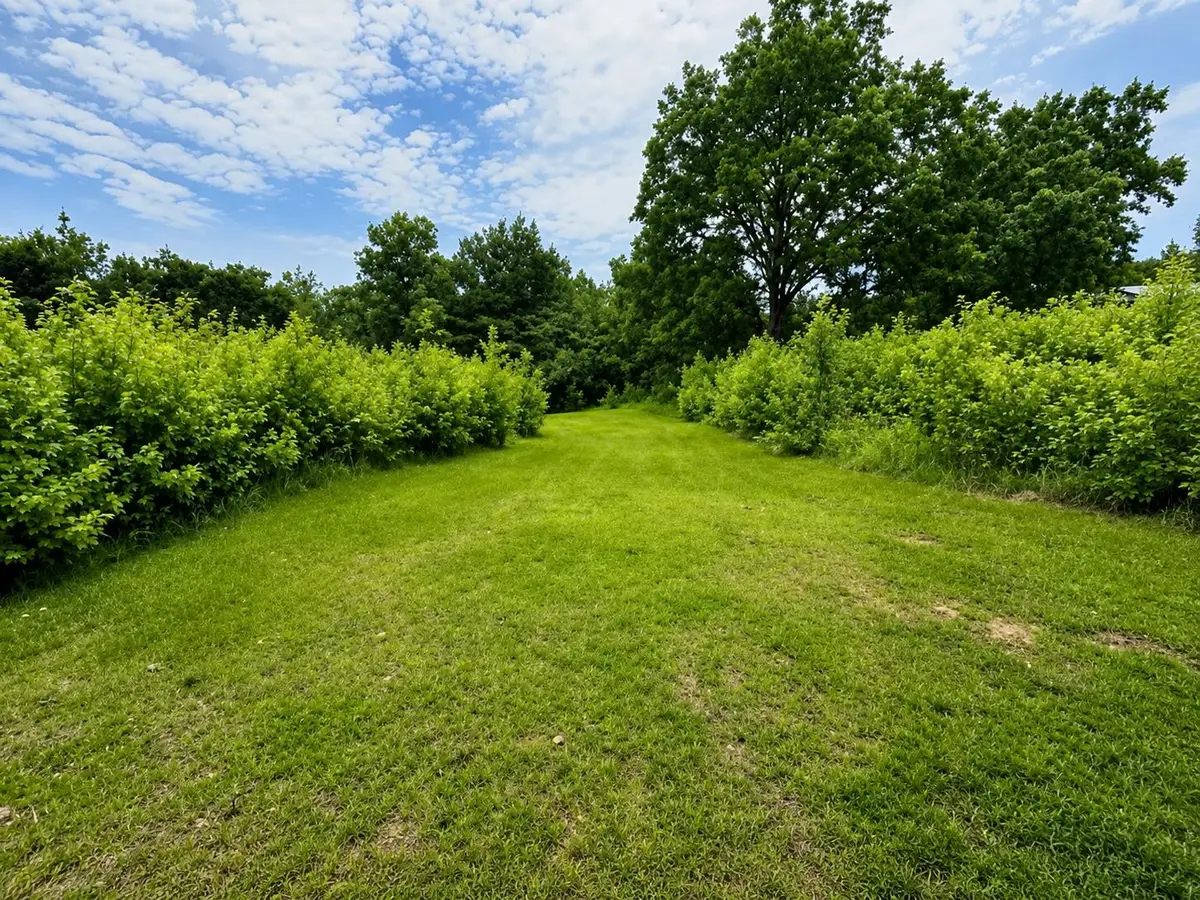Lincoln Ln, Hamilton, AL 35570 - #1