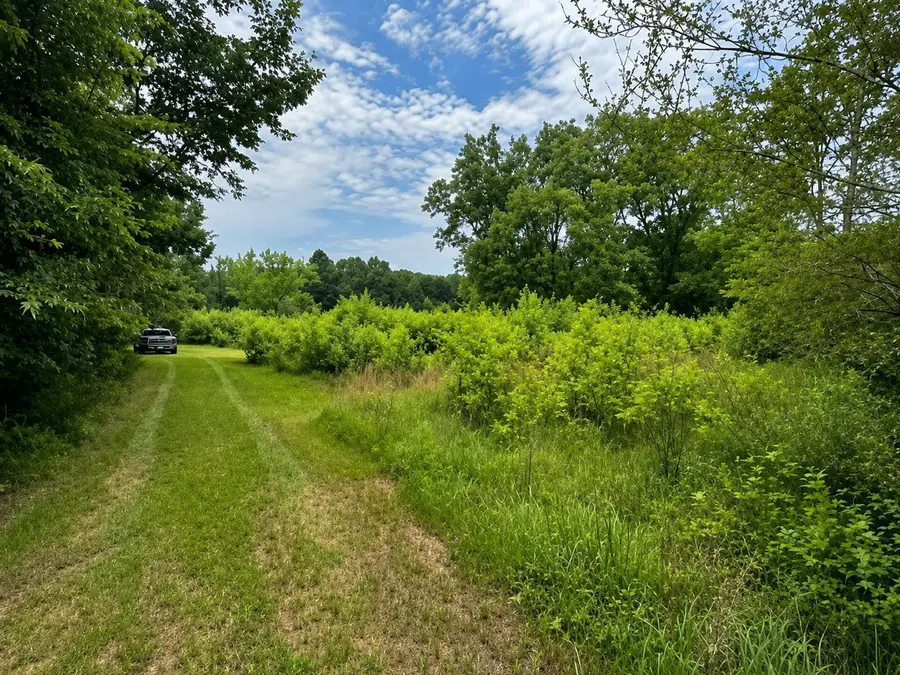 Lincoln Ln, Hamilton, AL 35570 - #2