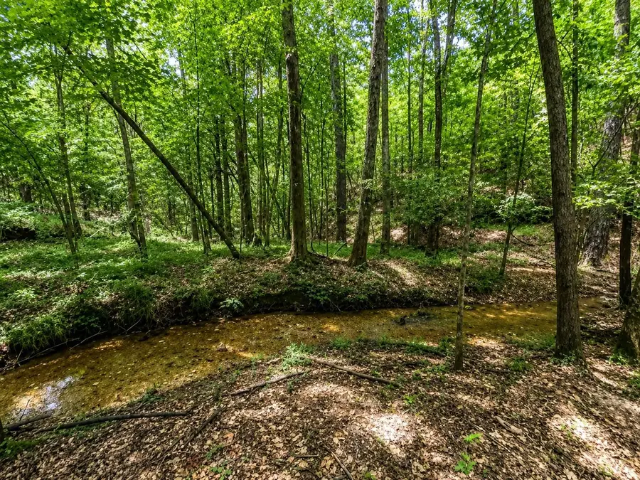 Lincoln Ln, Hamilton, AL 35570 - #3