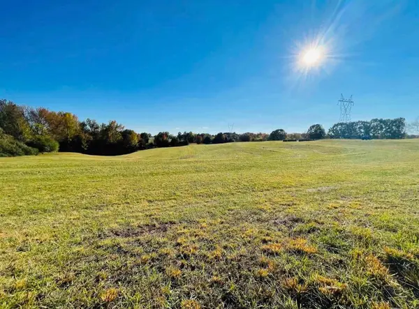 2829 Co Rd 92, Rogersville, AL 35652