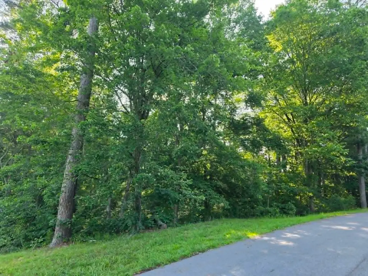 Lot 8 Quail Run Dr, Cullman, AL 35055 - #1