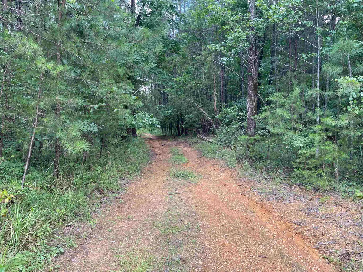 0 Co Rd 24, Eldridge, AL 35554 - #1