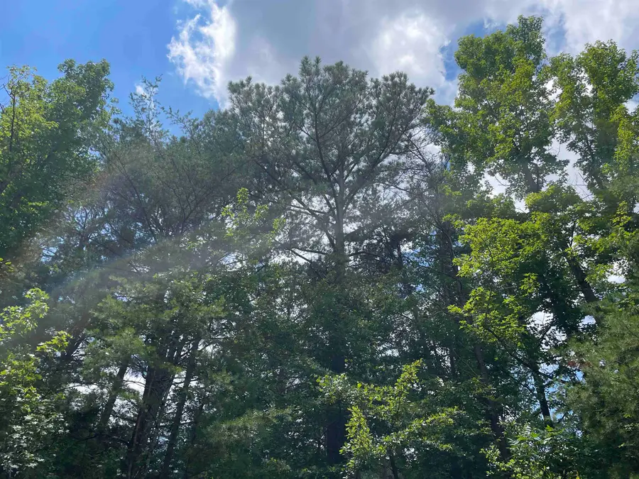0 Co Rd 24, Eldridge, AL 35554 - #2
