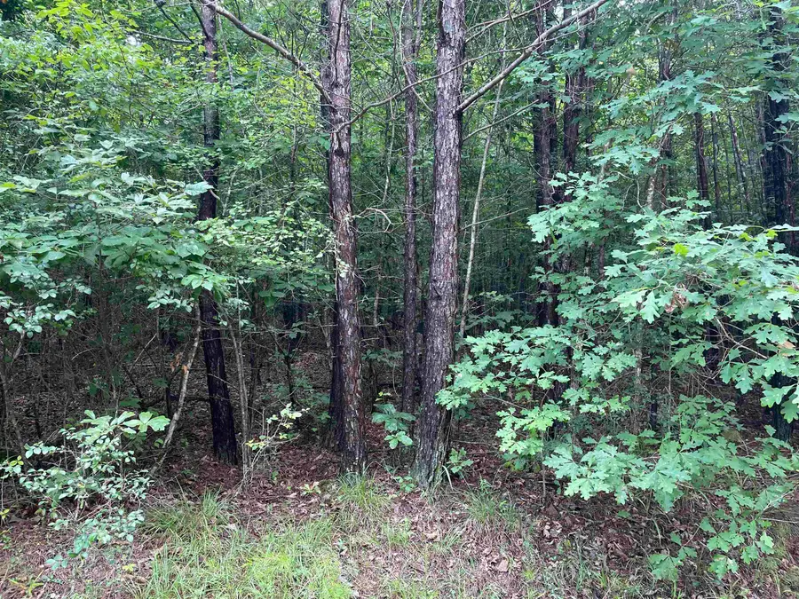0 Co Rd 24, Eldridge, AL 35554 - #3