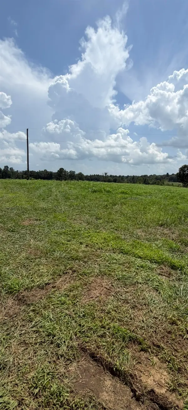 0 Hwy 89, Phil Campbell, AL 35581