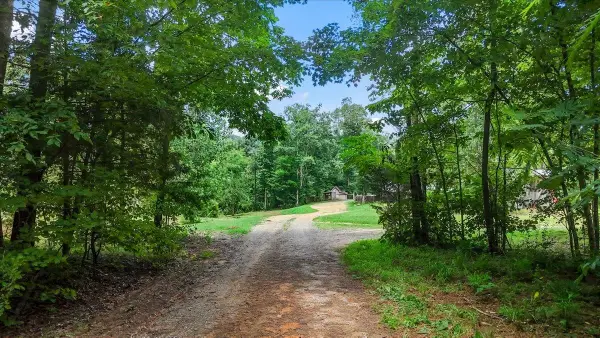 456 Keller Hollow Rd, Eva, AL 35621