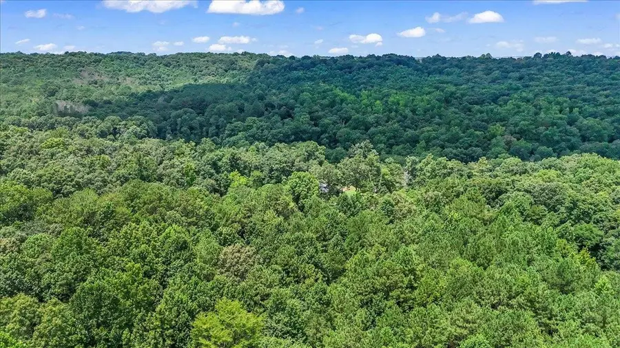 456 Keller Hollow Rd, Eva, AL 35621 - #2
