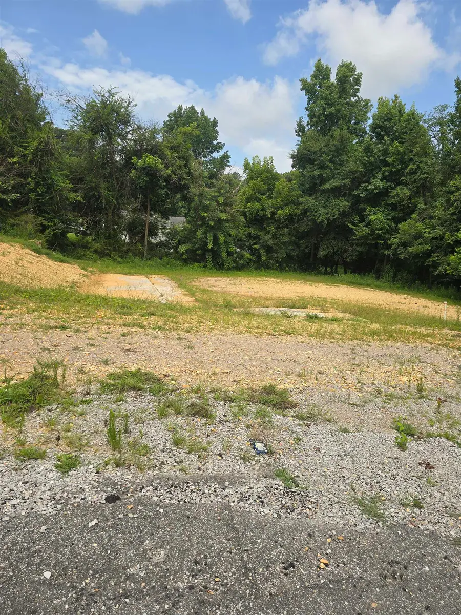 311 NW 1st St, Hamilton, AL 35570 - #3