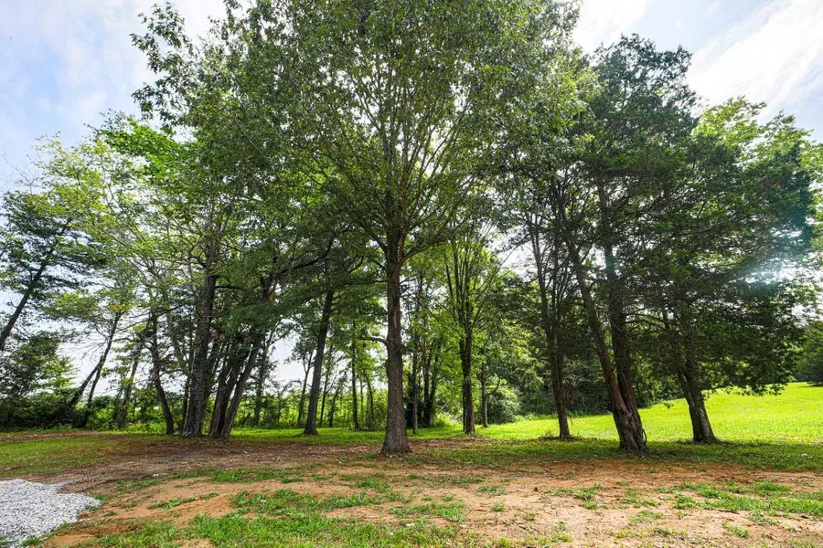 1925 Co Rd 139, Florence, AL 35633 - #3