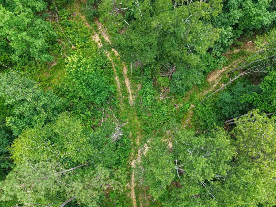 0 Co Rd 940, Crane Hill, AL 35053 - #3