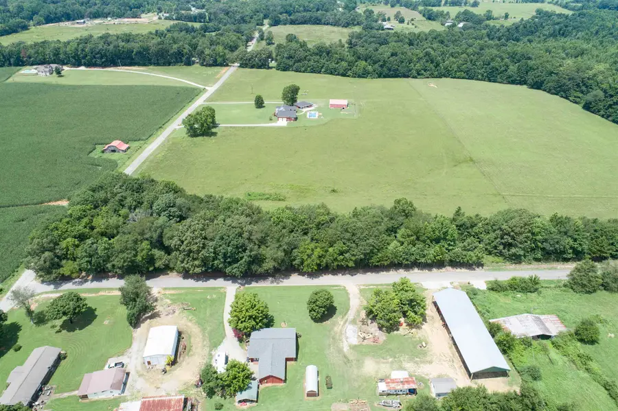 00 Co Rd 546, Rogersville, AL 35652 - #3