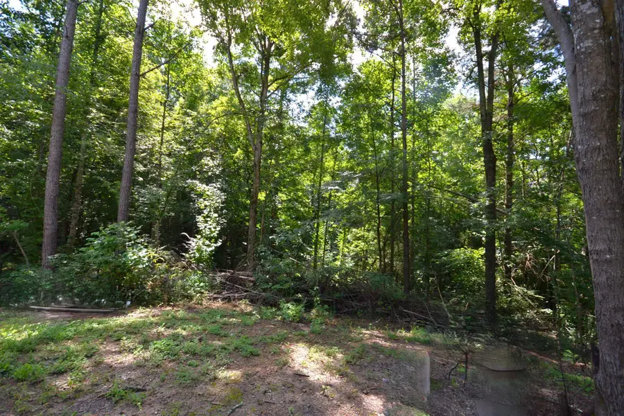 659 Co Rd 935, Crane Hill, AL 35053 - #2