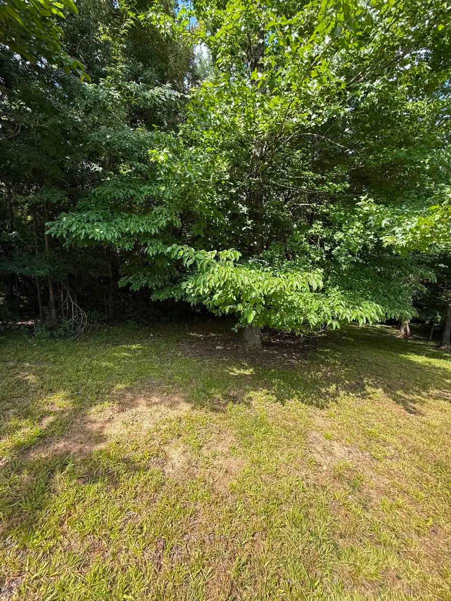 219 York Dr, Rogersville, AL 35652 - #2