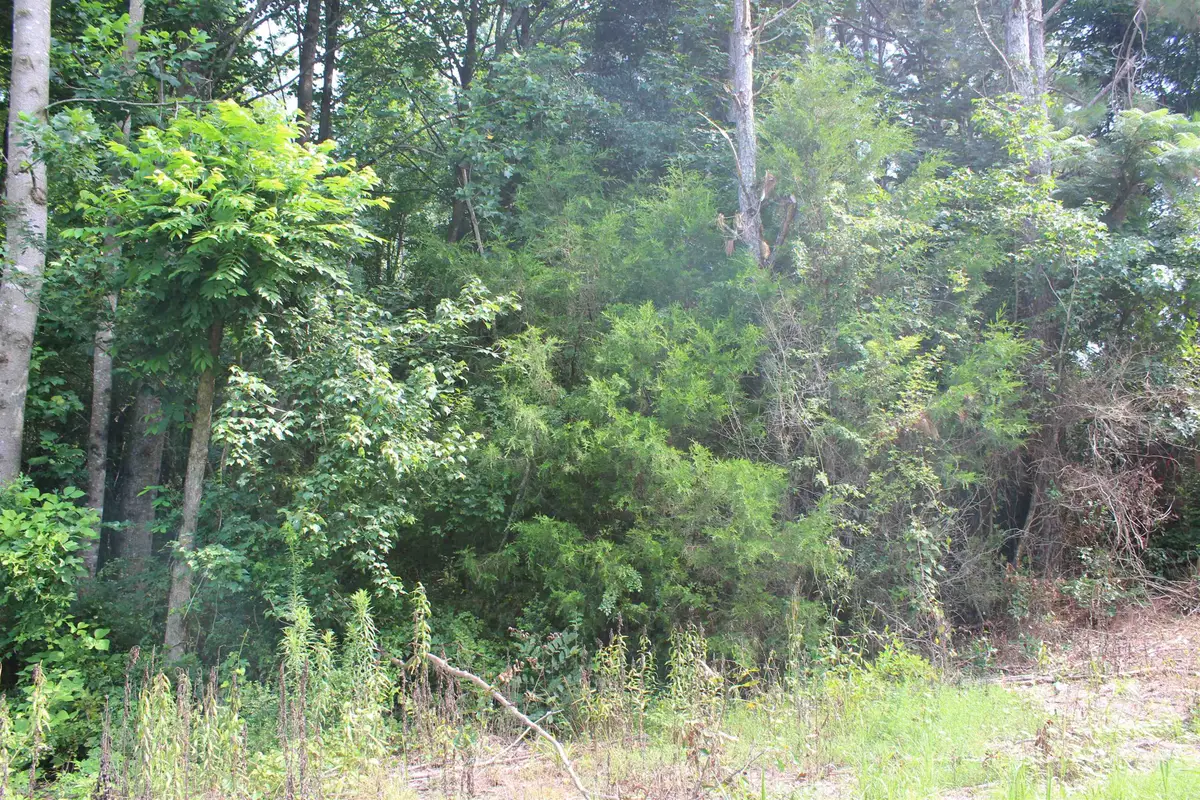 0 Co Rd 738, Cullman, AL 35055 - #1