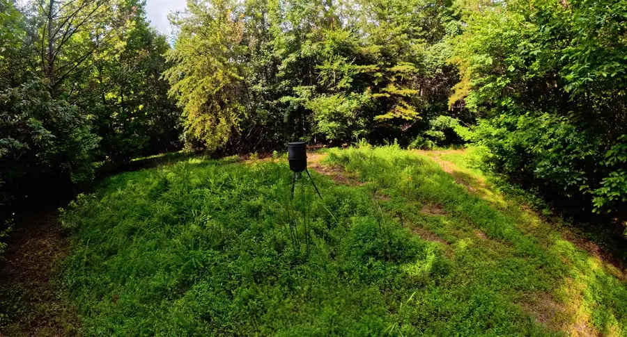 995 Indian Springs Rd, Tuscumbia, AL 35674 - #2