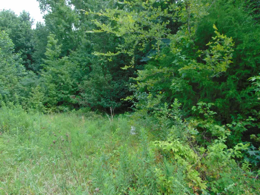 0 Snake Rd, Athens, AL 35611 - #3