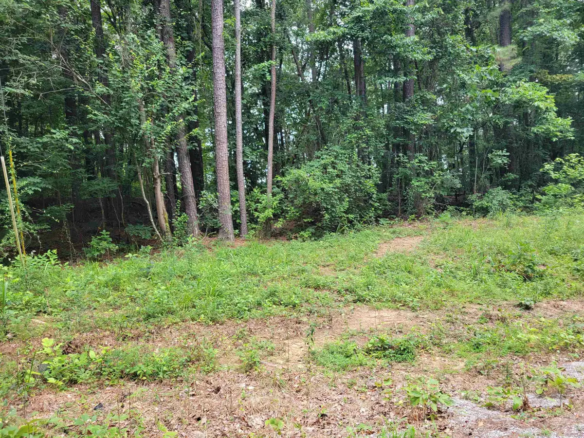 lot 21 and 22 Co Rd 199, Bremen, AL 35033 - #1