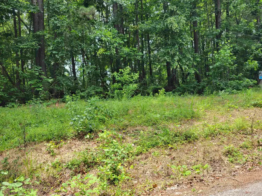 lot 21 and 22 Co Rd 199, Bremen, AL 35033 - #2