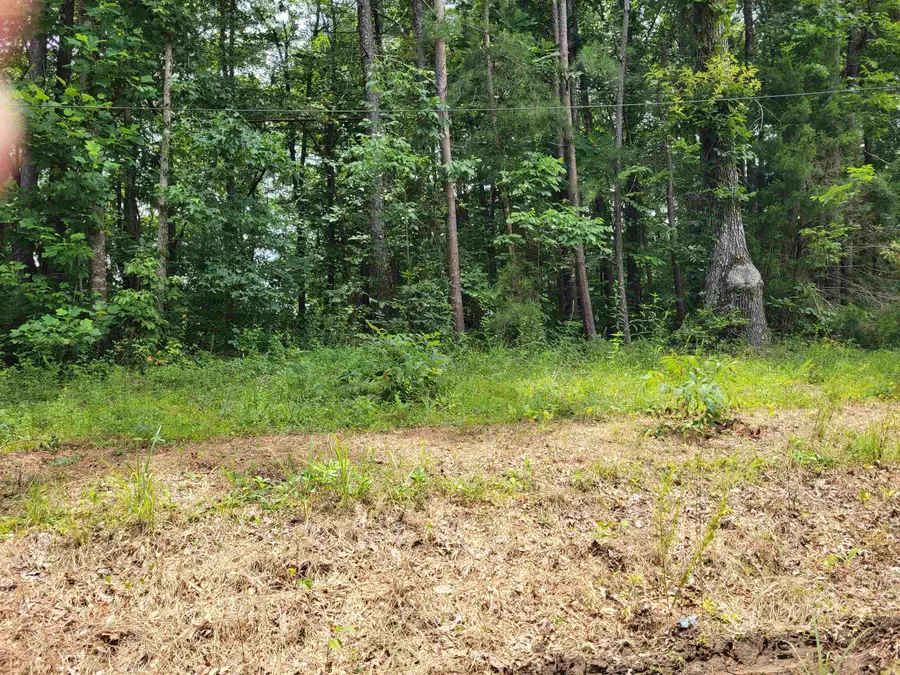 lot 21 and 22 Co Rd 199, Bremen, AL 35033 - #3
