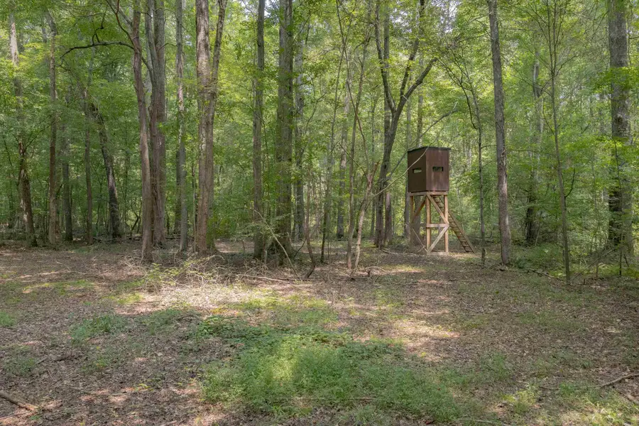 1511 Co Rd 74, Florence, AL 35633 - #3