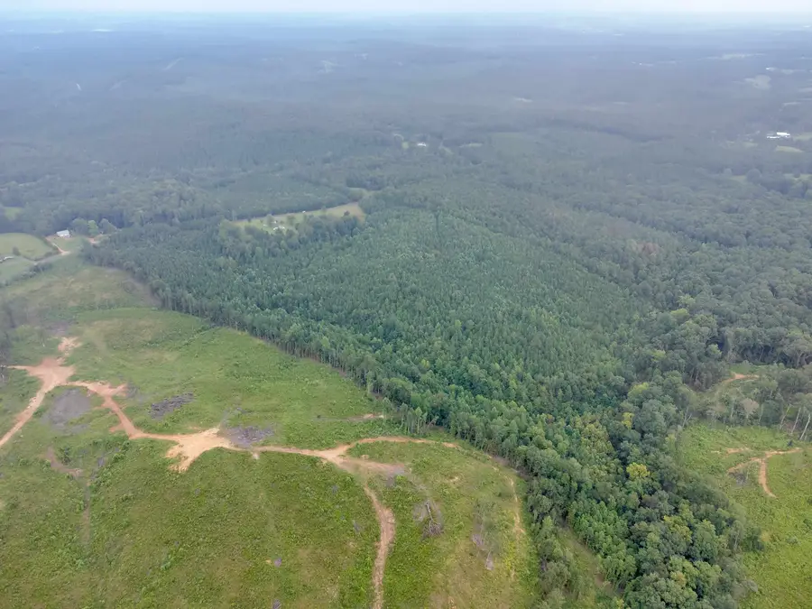 4243 Cotton Gin Rd, Spruce Pine, AL 35585 - #3