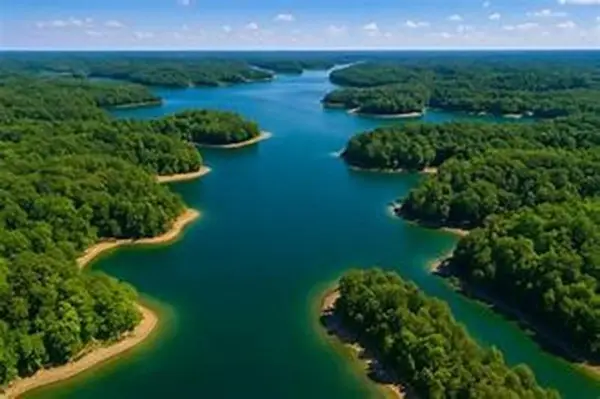 41 Ares Big Bear Lake Rd, Double Springs, AL 35553