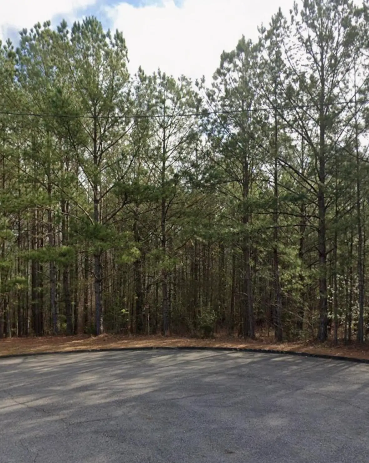14125 Brooke Dr, Tuscaloosa, AL 35405 - #1